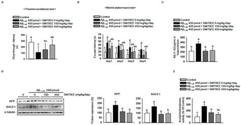 Spirulina maxima Extract Ameliorates Learning and Memory Impairments ...