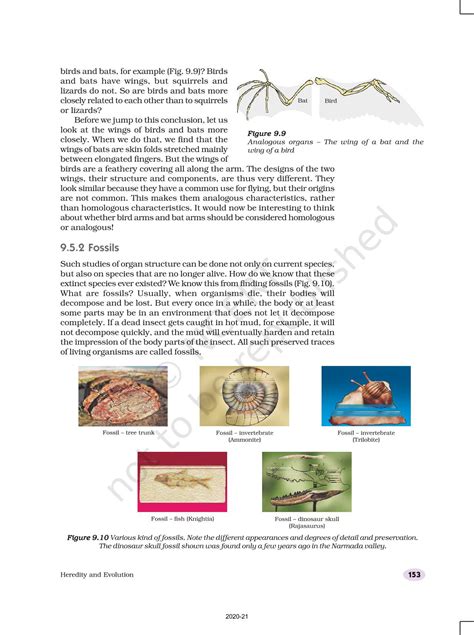 Heredity And Evolution - NCERT Book of Class 10 Science