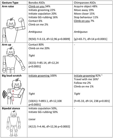 Image result for Chimp Learn Sign Language