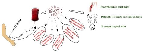 Fig. 3: Advantages and side effects of Phlebotomy procedure for iron ...