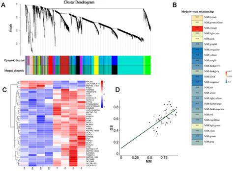 Dynamic Transcriptome Profile Analysis of Mechanisms Related to Melanin ...