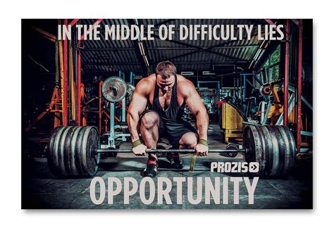 Buy Tamatina Gym Posters - Gym Posters Motivational - Gym Posters for ...