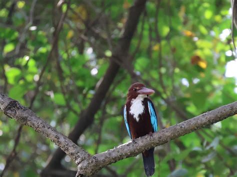 JAKE THE SNAKE BOAT TRIP (2026) All You Need to Know BEFORE You Go ...