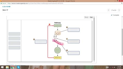 Negative Feedback Loop Diagram | Quizlet