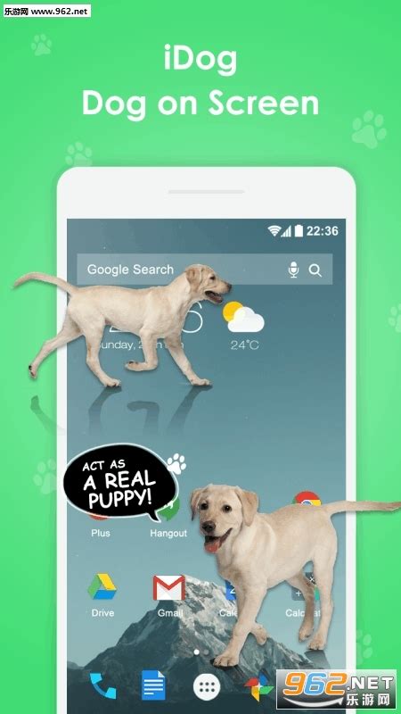 iphoneX表情狗对话软件下载-iDog狗在屏幕上app安卓版下载v1.2-乐游网安卓下载