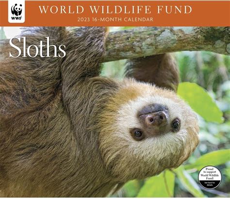 Calendar Ink, Sloths WWF 2023 Wall Calendar India | Ubuy