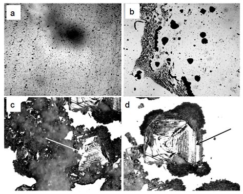 Giant Water Clusters: Where Are They From?