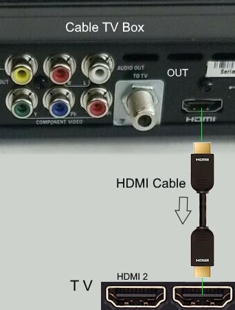 Image result for Cable Leg Extensions Exercise