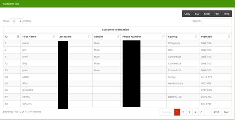How to Add Custom Rows to jQuery DataTable 的图像结果