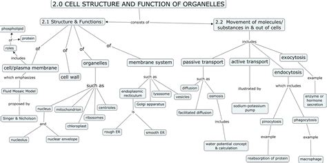 Cell Structure Concept Map 的图像结果