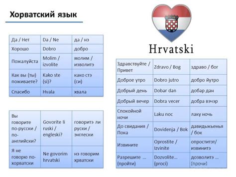 Официальный государственный язык Хорватии: на каком языке говорят с ...
