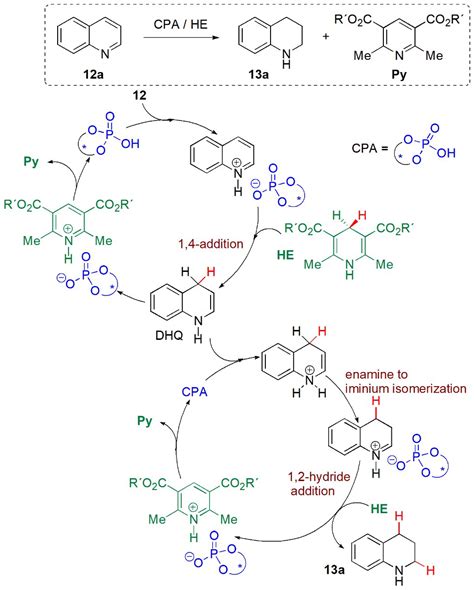 Applications of Hantzsch Esters in Organocatalytic Enantioselective Synthesis