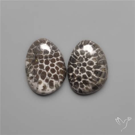 Buy Stingray Black Fossil Corals Pair N37848 Online at Gemstonesforsale