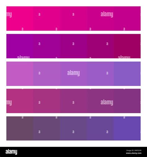 Pink and purple color palette. Creative concept. Art design. Interior ...