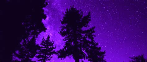 Purple Aesthetic GIFs - Download & Share | GIFDB.com