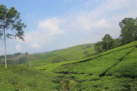 kebun indslots apk,finding the right game that m