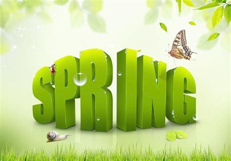 Springting Phases 的图像结果