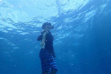 Journey Diving and Nature Tour (Dumaguete City) - 2022 What to Know ...