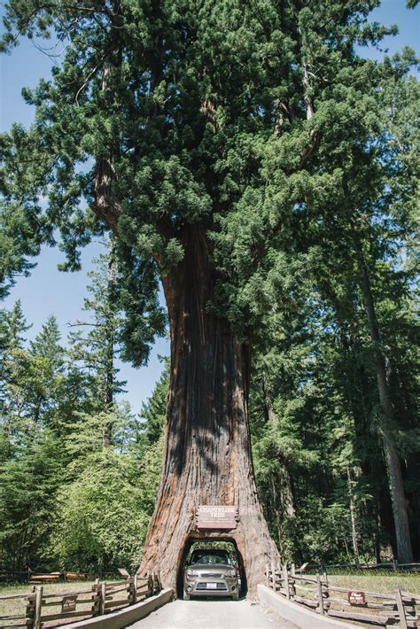 Agriculture | Mendocino County, CA