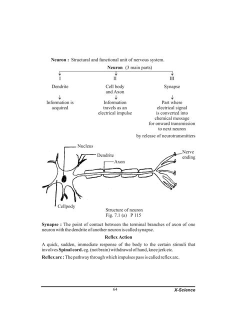 Image result for Class 10 Science Chapter 7 Notes