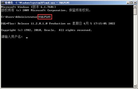 SQL*Plus Downloads 的图像结果