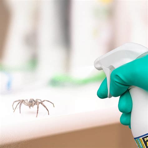 NOPE! Spider Killer Repellent - ริมถนน. Thailand | Ubuy