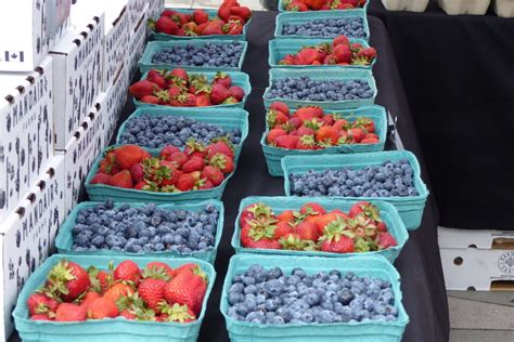 https://bcfarmersmarkettrail.com/app/uploads/2023/09/Mandair-Farm-960x640.jpeg