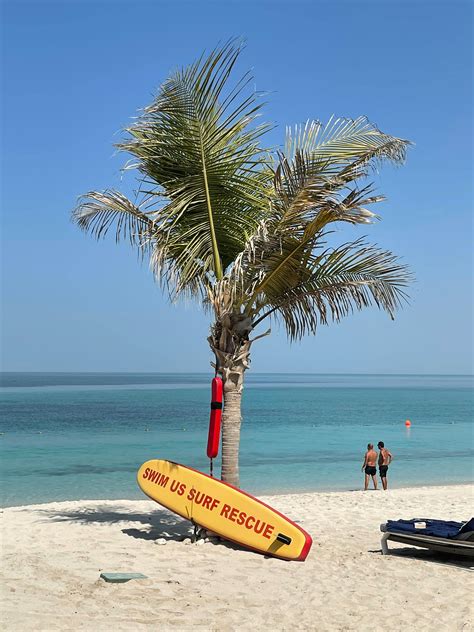 Running at the Beach 的图像结果