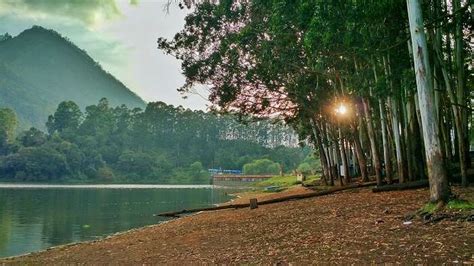 Munnar Honeymoon Places: Best Places To Visit For Couples