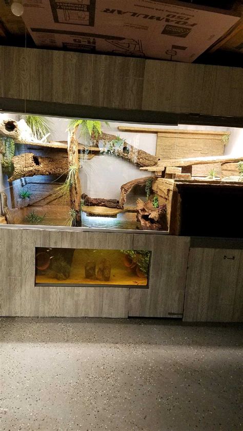 Image result for Lizard Containers