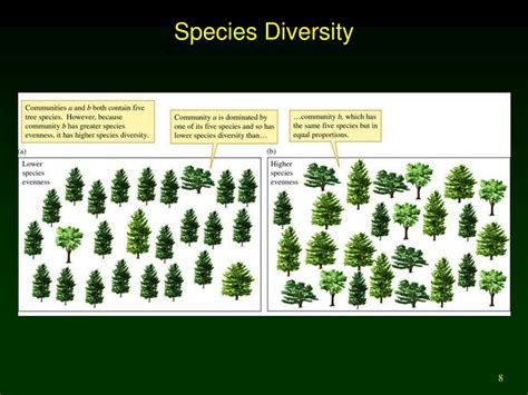 PPT - Species Abundance and Diversity Patterns in Natural Communities ...