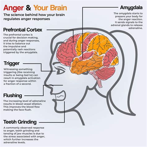 Types Of Anger Disorders