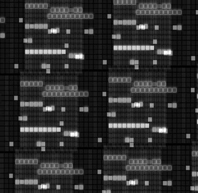 Pixel Perplexity – BEFANTASTIC