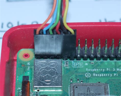 Raspberry Growing Time-Lapse 的图像结果