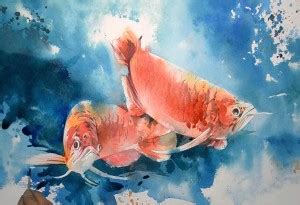 Poster Digital Painting Arowana Fish sl-9642 (Wall Poster, 13x19 Inch ...