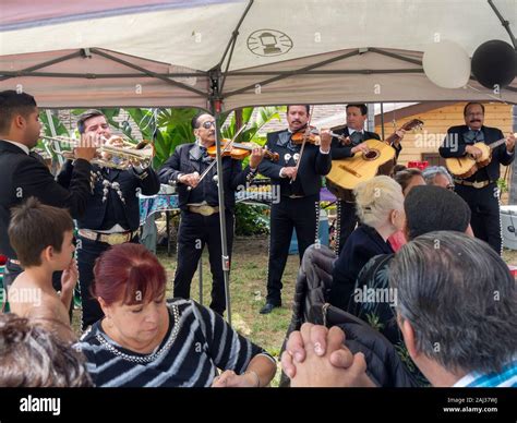 Mexican mariachi band playing happy, iconic, traditional music at ...