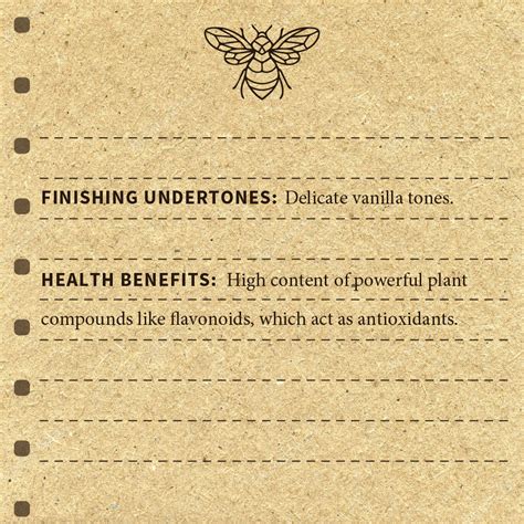 Buy Raw Acacia Honey from Kashmir Valley 100% Pure & Natural – UTMT