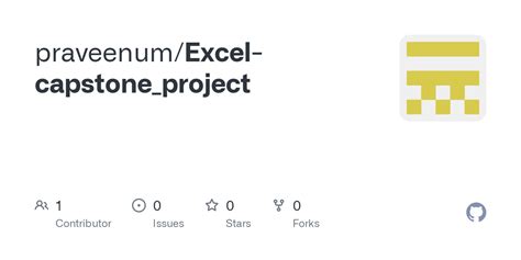 Image result for Excel Capstone Project Level 2