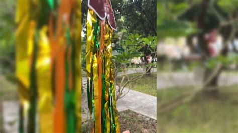 Watch Outdoor Dia De Los Muertos Decorations on Amazon Live
