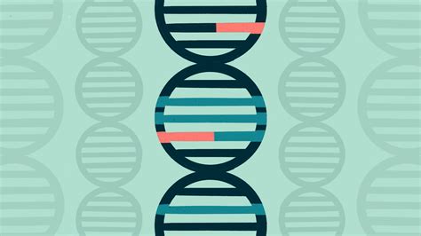 Gene Mutation CHEK2 and Cancer Risk