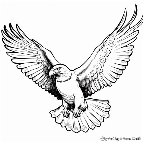 Flying Eagle Coloring Pages - Free & Printable!