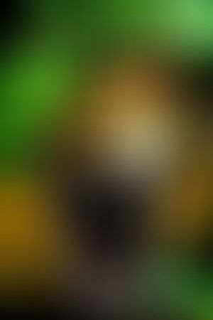 Image result for Python Movie Opening Scene