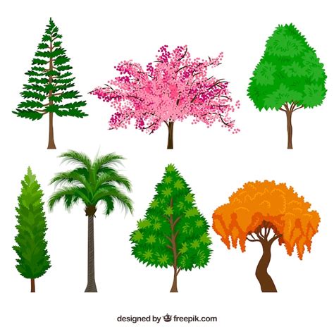 Realistic tree Vectors - Download Free High-Quality Vectors from ...
