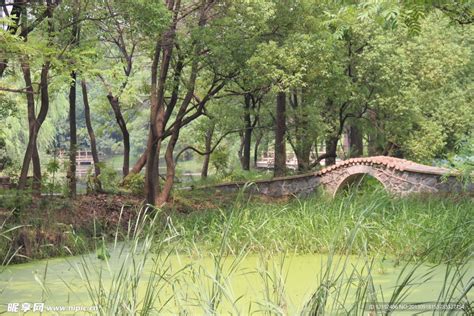 中国风的小桥高清图片下载-正版图片500667114-摄图网