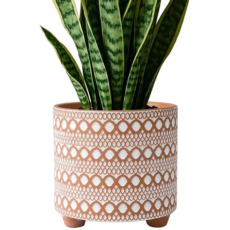 Amazon.com : D'vine Dev 8 Inch Terracotta Planter Pot, Modern Design ...