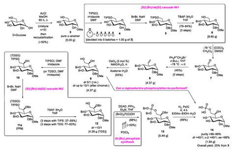 Synthetic Optimizations for Gram-Scale Preparation of 1-O-Methyl d ...