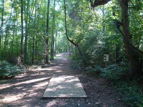 Hole 8 • Hornets Nest Park (Charlotte, NC) | Disc Golf Courses | Disc ...