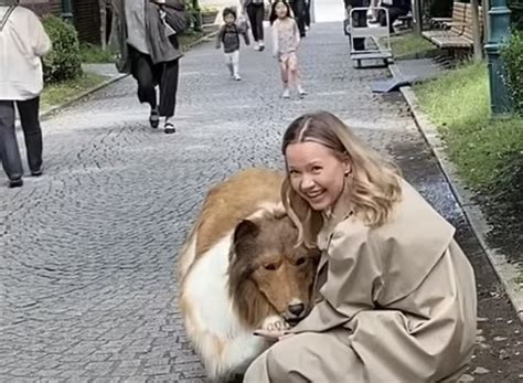 Japanese Man Transforms Into 'Human Dog,' Enjoys First Walk In Public