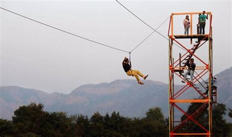 Everything You Need to Know About Visiting Polo Forest