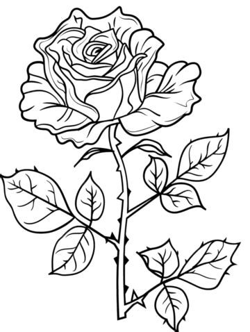 Image result for Rose Code Using HTML and CSS